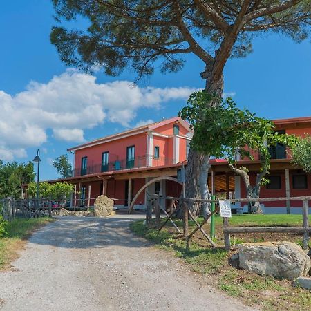 Terra Di Vento Bed & Breakfast Montecorvino Pugliano Ngoại thất bức ảnh