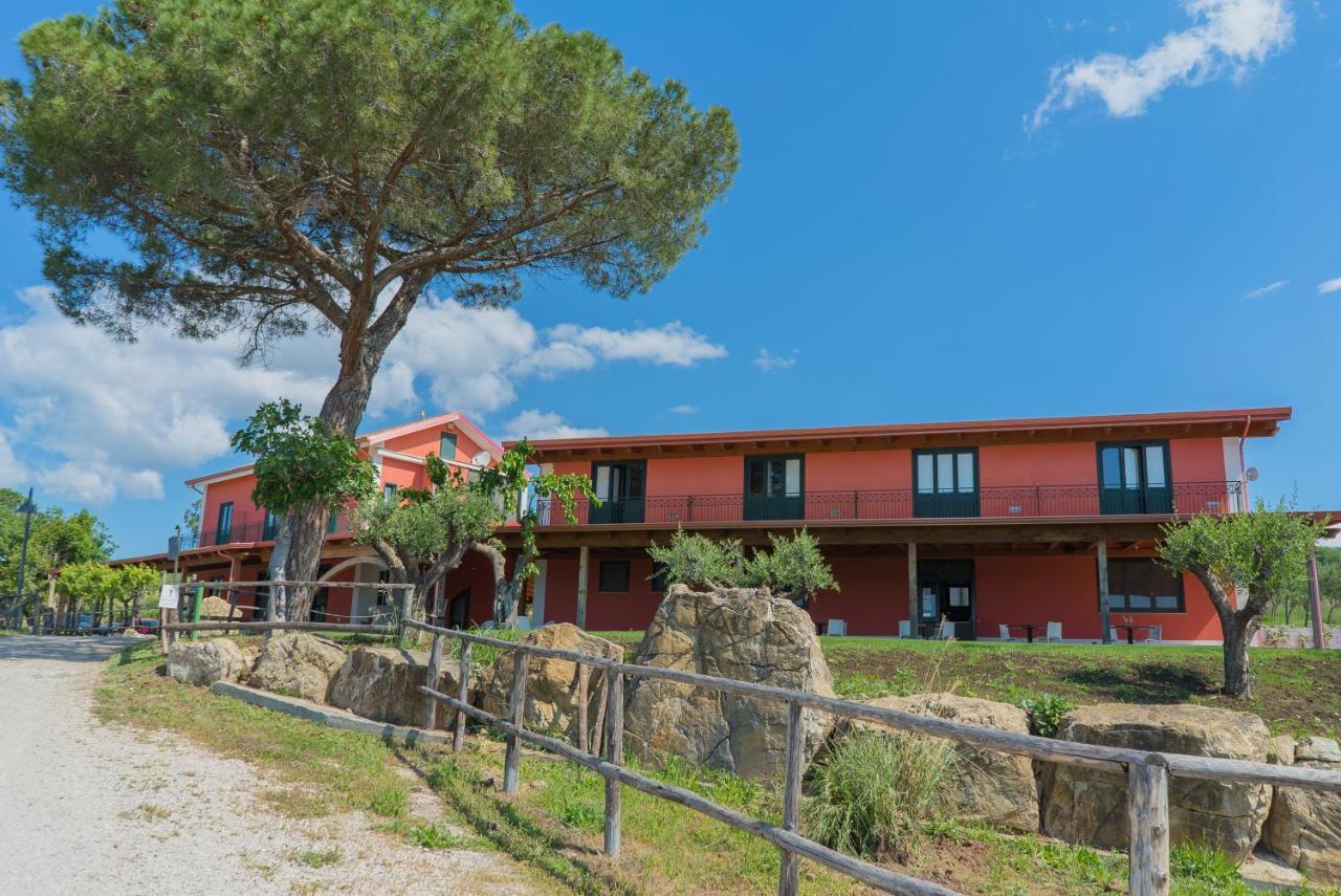 Terra Di Vento Bed & Breakfast Montecorvino Pugliano Ngoại thất bức ảnh