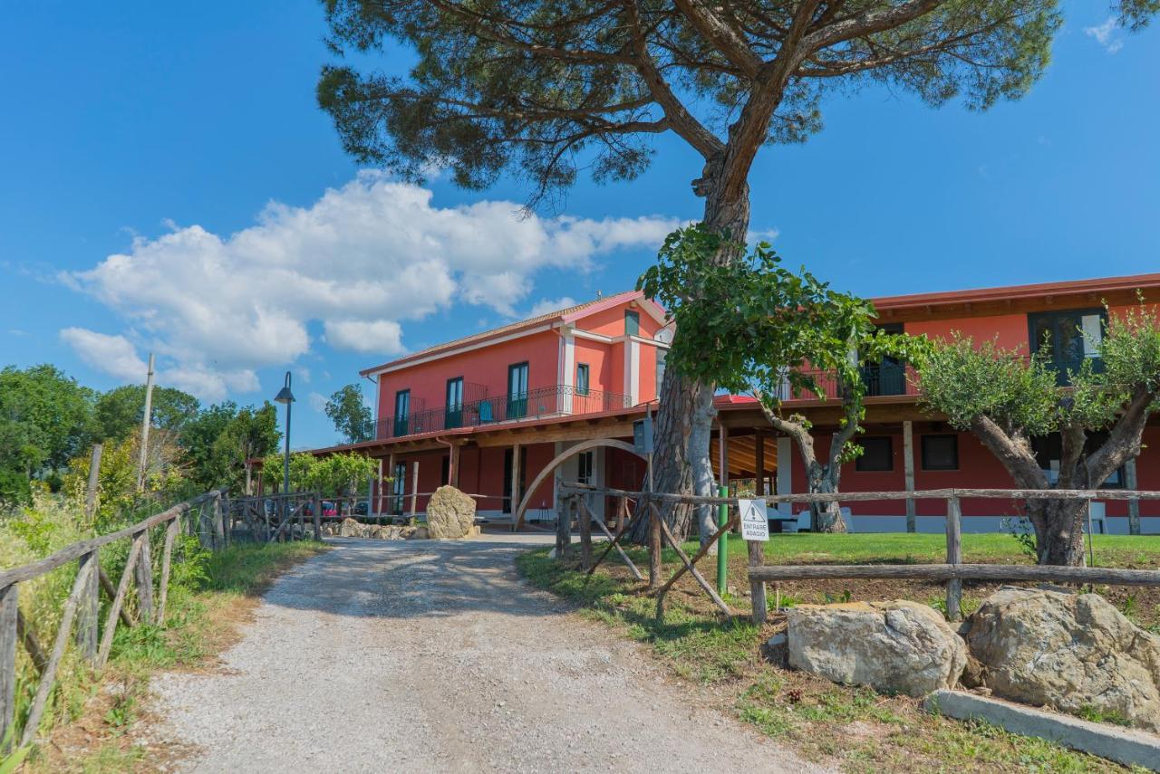 Terra Di Vento Bed & Breakfast Montecorvino Pugliano Ngoại thất bức ảnh